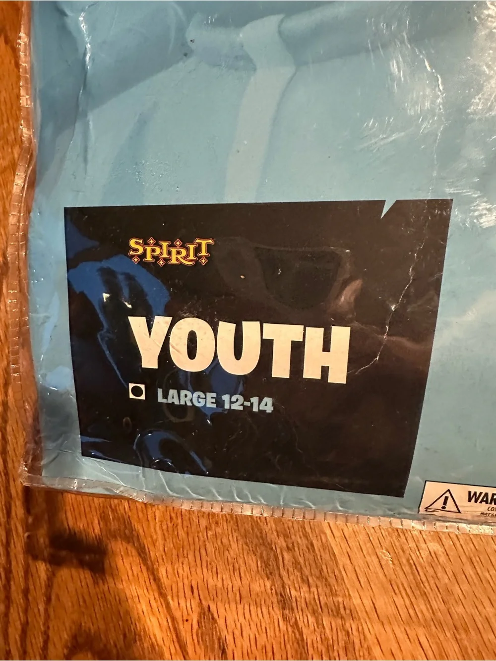 Spirit Fortnite Punk Youth 12-14 Halloween Costume